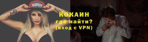 молекула духа Волосово