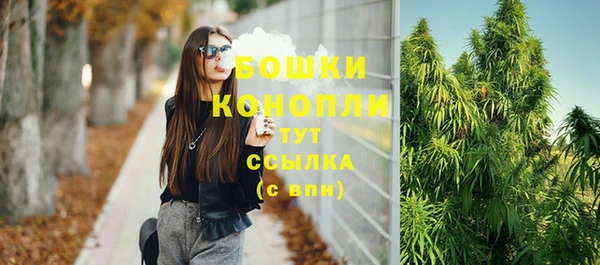 молекула духа Волоколамск