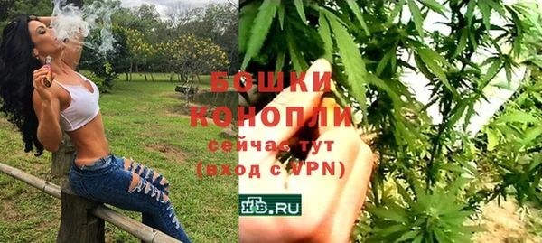 молекула духа Волоколамск