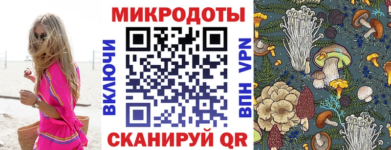 Псилоцибиновые грибы Psilocybe  МЕГА как войти  Подпорожье  дарнет шоп 